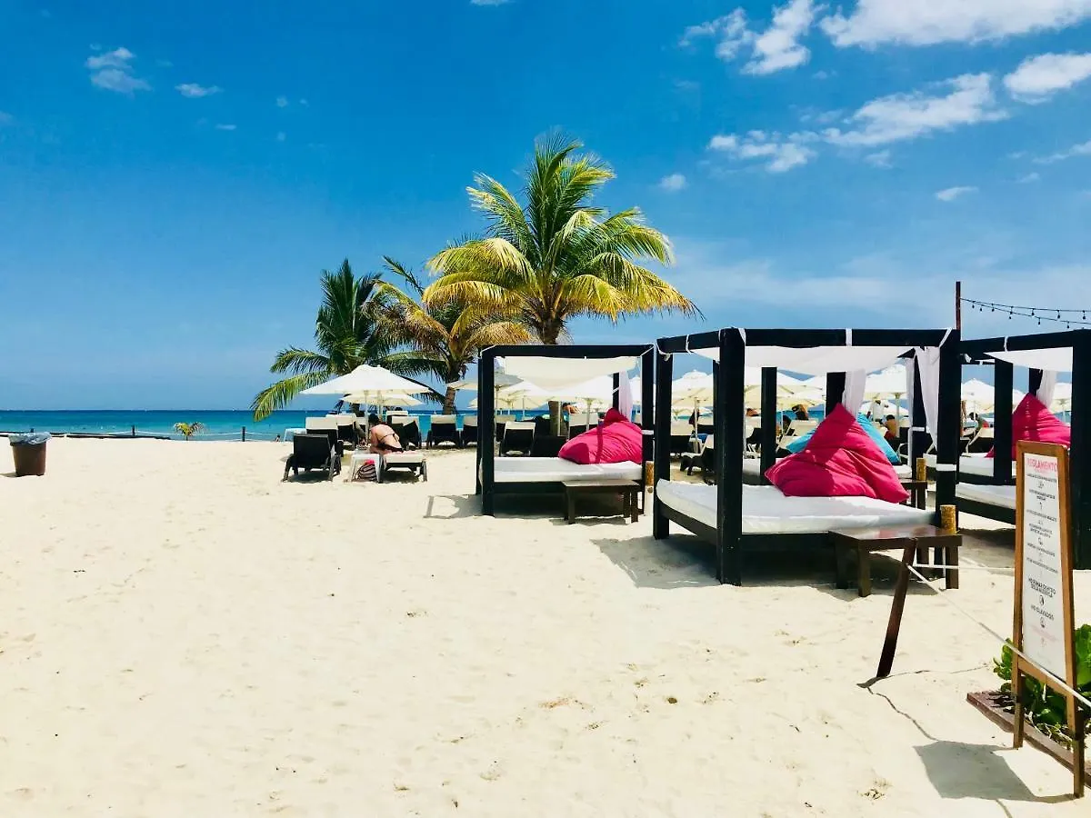 Aquamarina Economy Studio Playa del Carmen Guest house